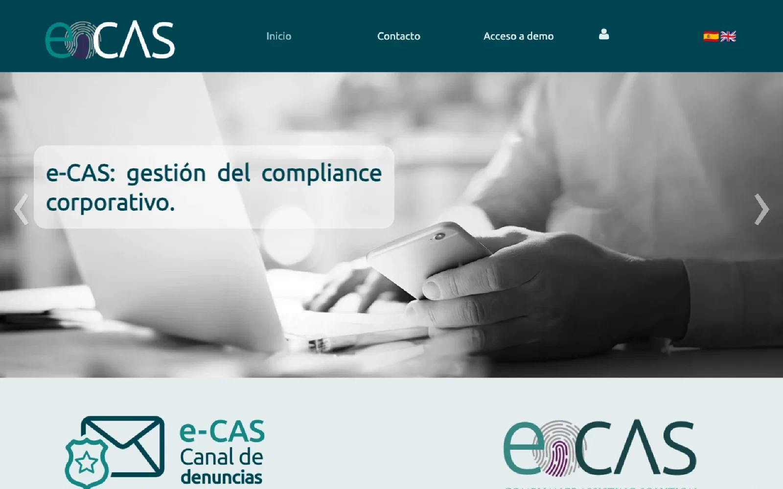 e-CAS homepage screenshot
